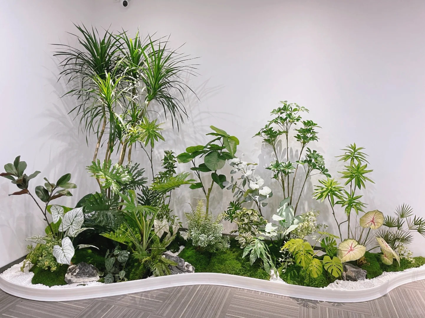 体验宁波北仑盆景租摆，畅享绿意时光